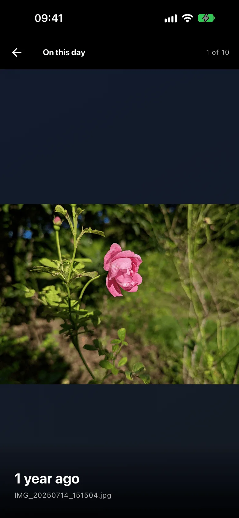 Photobe on iOS: photos from this day in earlier years.