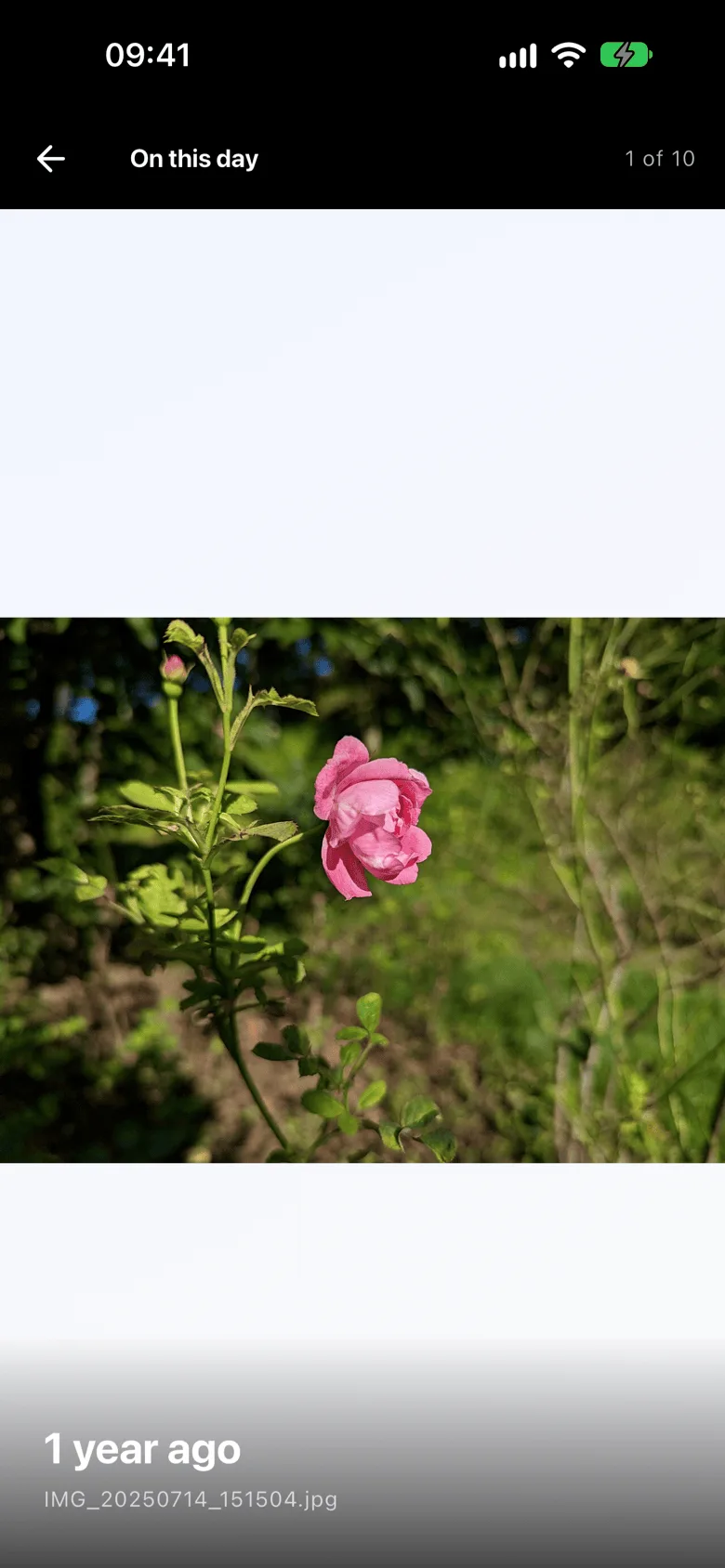 Photobe on iOS: photos from this day in earlier years.